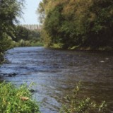 0209F 11 Mittlere Ems